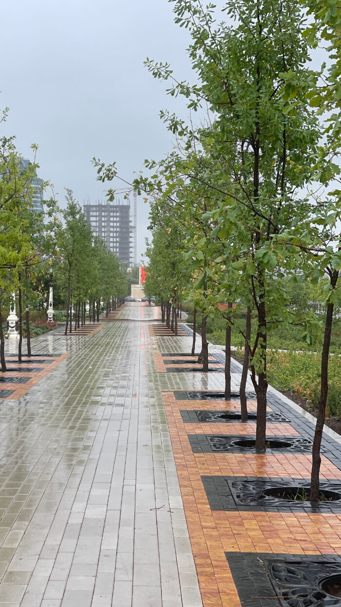 Приствольная решетка для дерева ZKING CRUST 1.2х1.2м Черная в Первоуральске фото