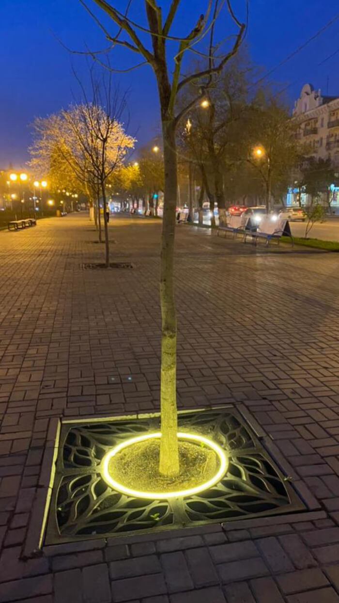 Приствольная решетка для дерева ZKING CRUST 1.2х1.2м Черная в Первоуральске фото